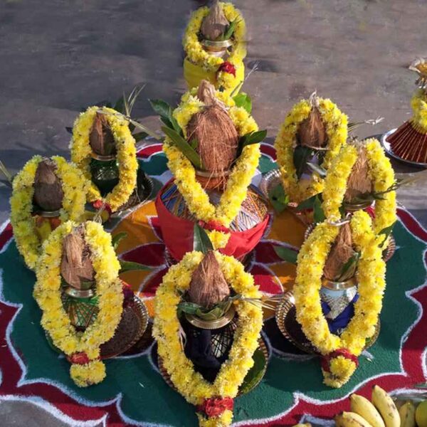 Navagraha Homam